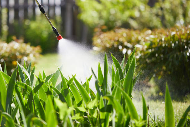 Tamper-Resistant Bait Stations for Rodents in Buena Vista